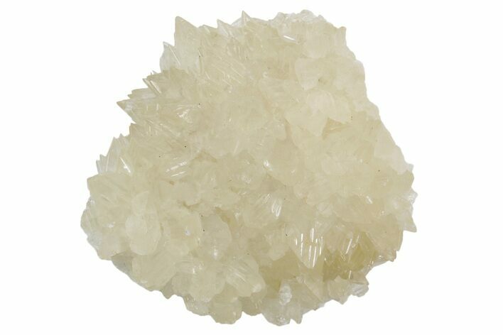 Sharp Dogtooth Calcite Crystal Cluster - Utah #360662
